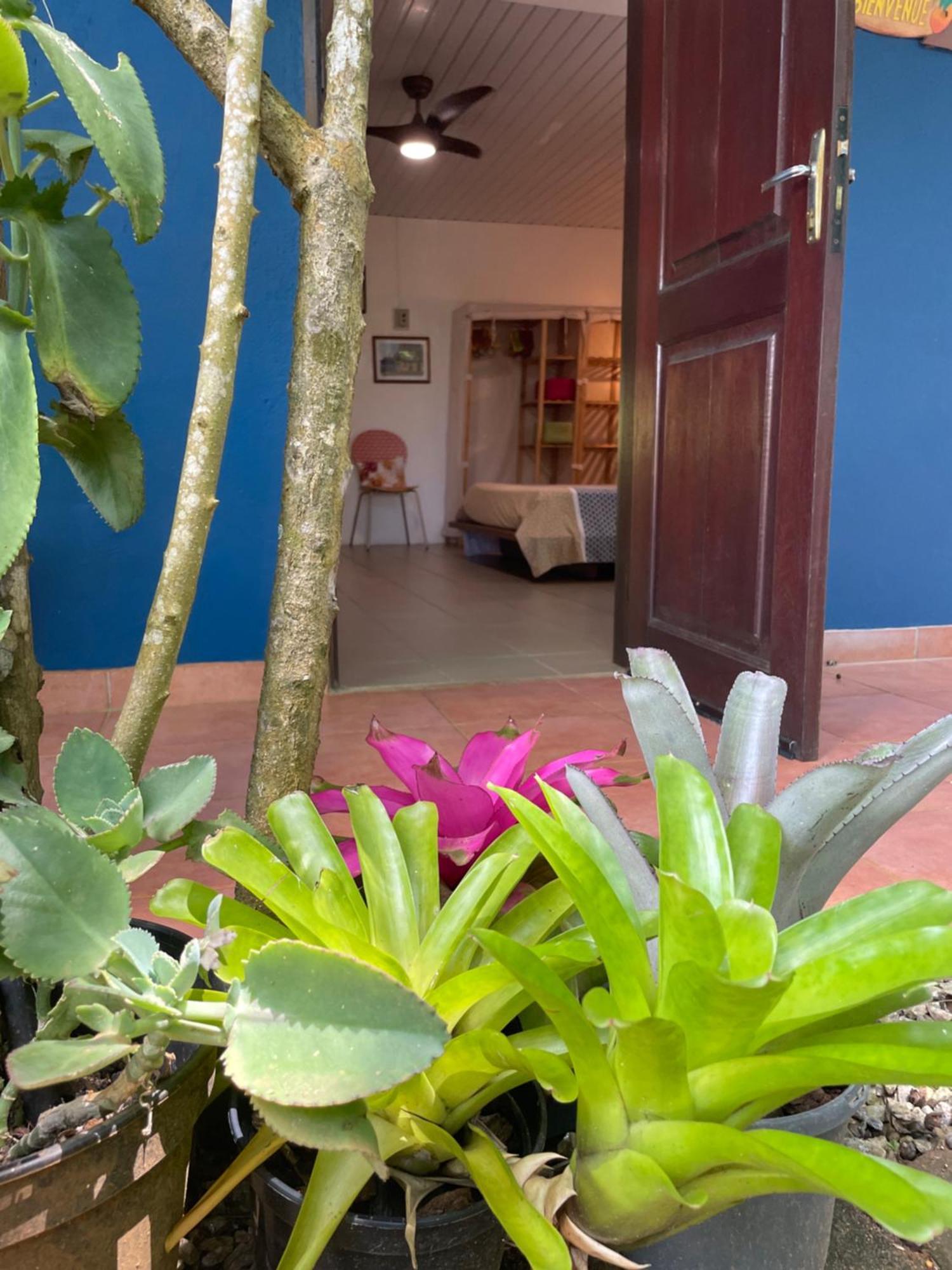 Apartmán Ti Kaz Dan Bwa Cayenne Exteriér fotografie